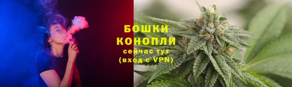 ГАЛЛЮЦИНОГЕННЫЕ ГРИБЫ Балахна