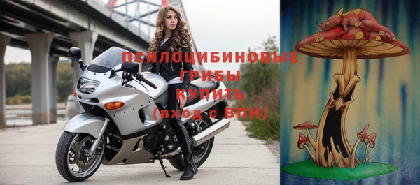 ГАЛЛЮЦИНОГЕННЫЕ ГРИБЫ Балахна