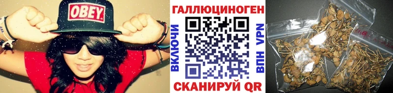 MEGA вход наркота Колпашево Псилоцибиновые грибы прущие грибы